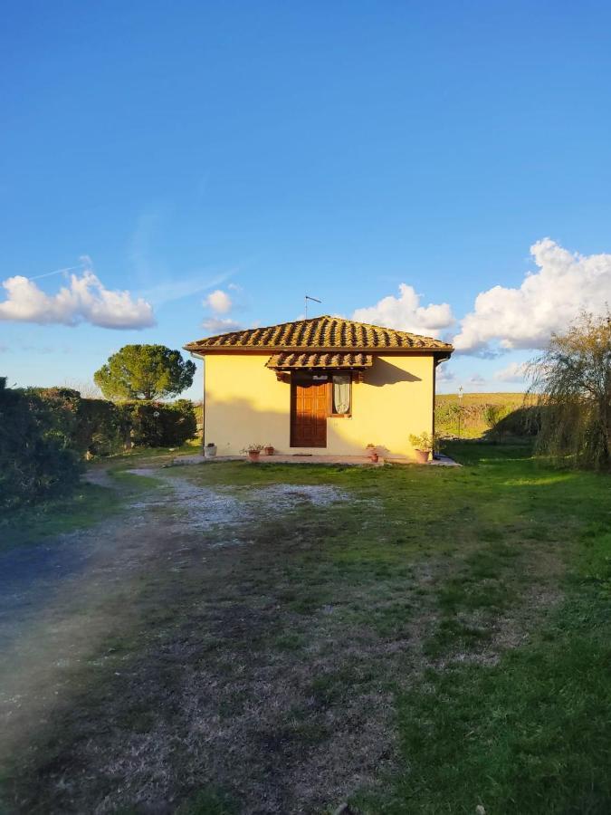 Appartement Azienda Agricola Baldini Ferdinando à Monteaperti  Extérieur photo