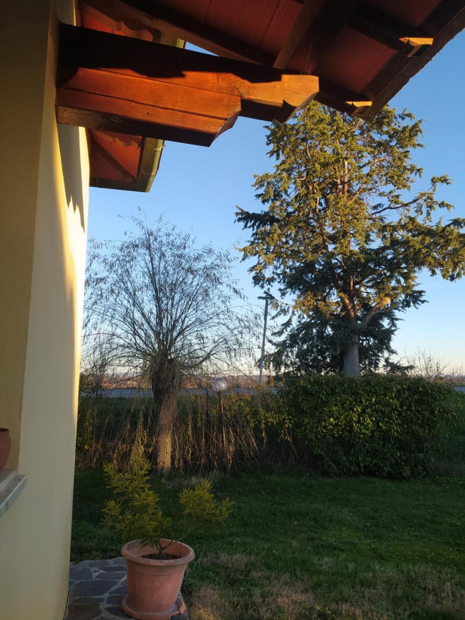 Appartement Azienda Agricola Baldini Ferdinando à Monteaperti  Extérieur photo