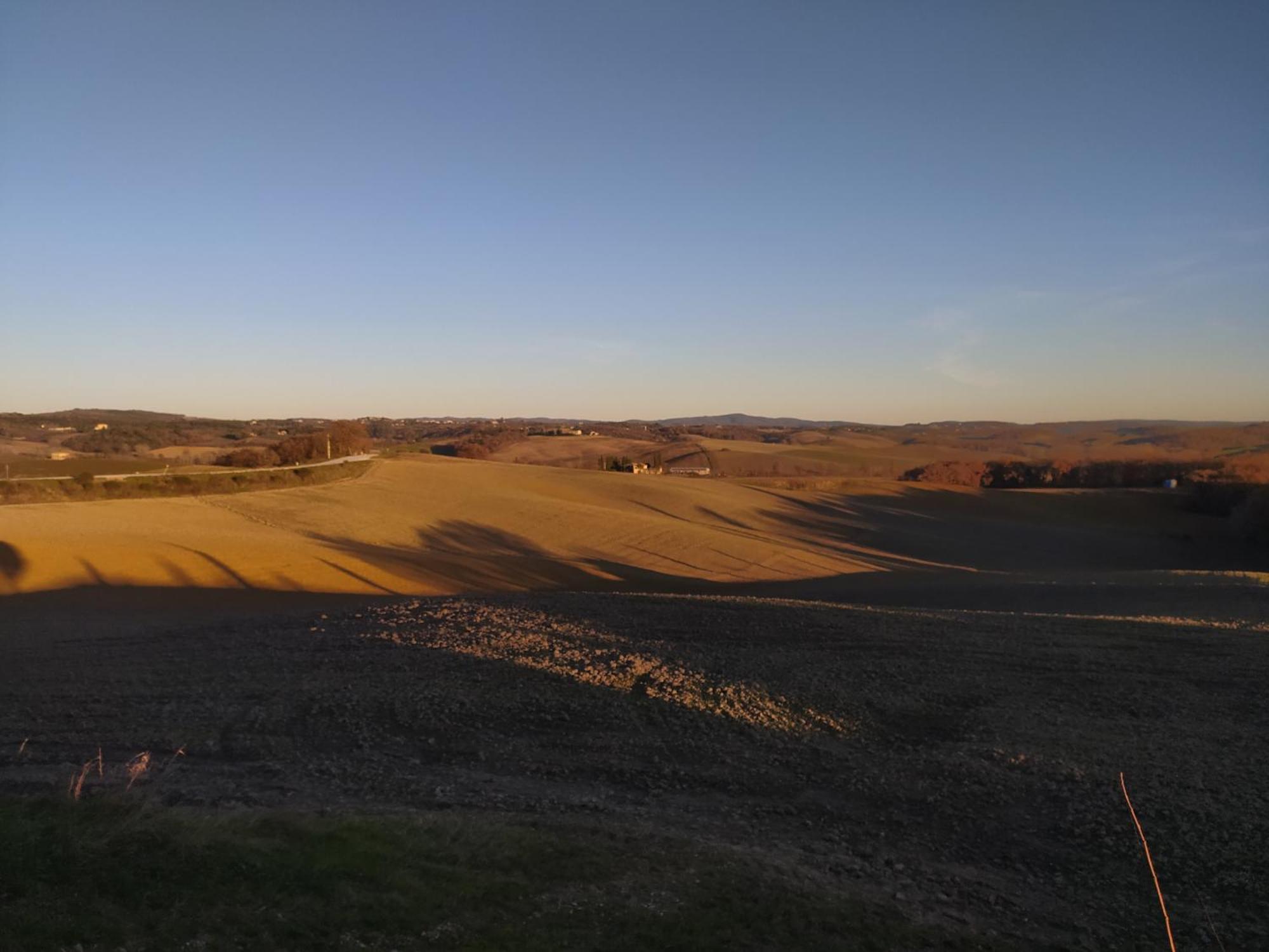 Appartement Azienda Agricola Baldini Ferdinando à Monteaperti  Extérieur photo
