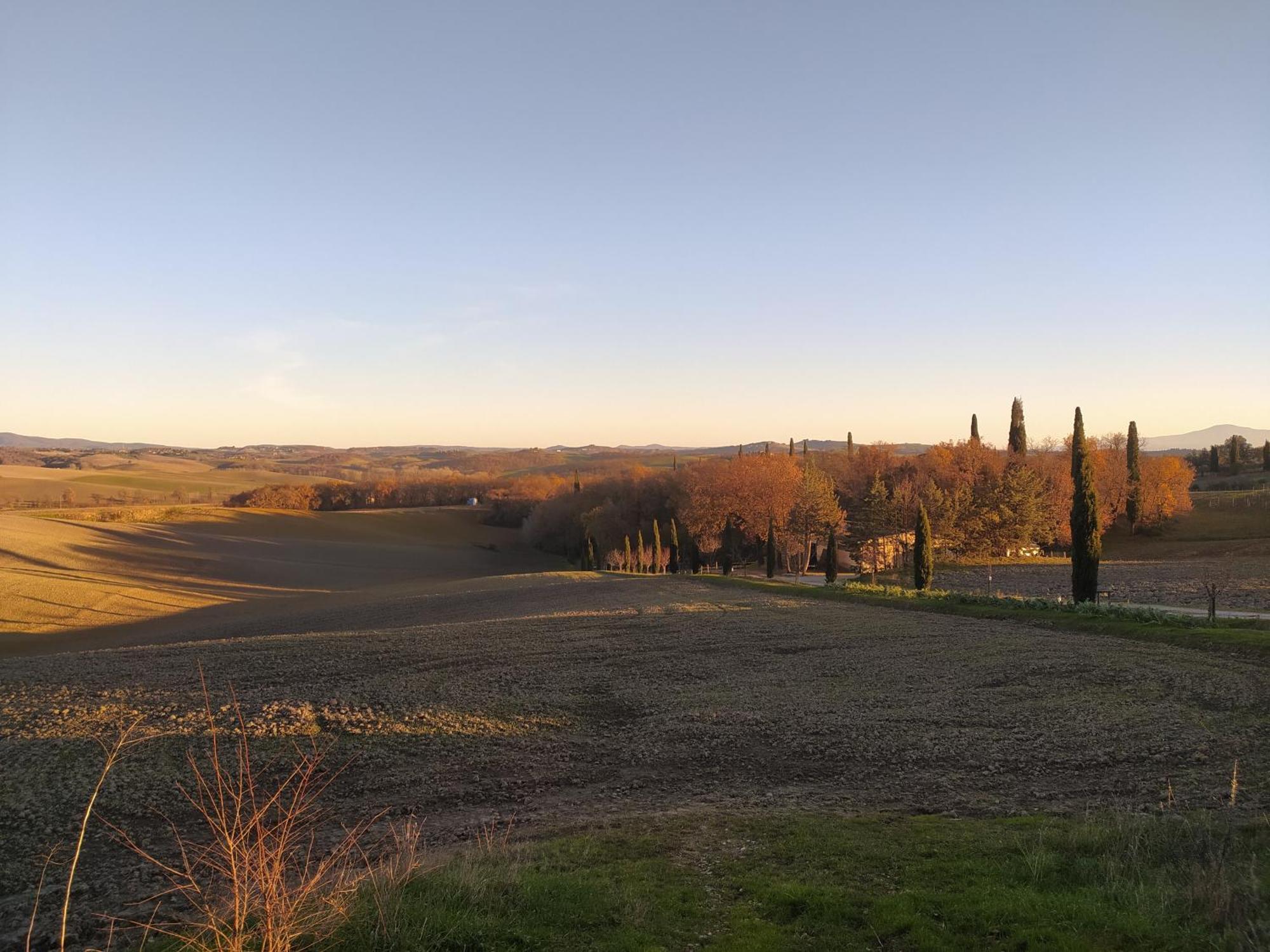 Appartement Azienda Agricola Baldini Ferdinando à Monteaperti  Extérieur photo